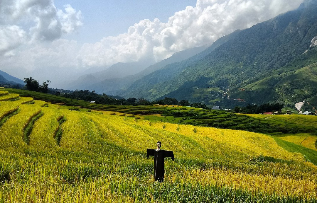 Local H'mong Sapa Tour with Chua Sung景点图片
