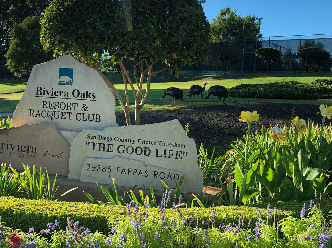 Riviera Oaks Resort And Racquet Club主图