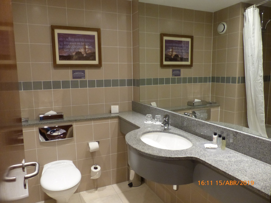 Maldron Hotel Sandy Road Galway主图