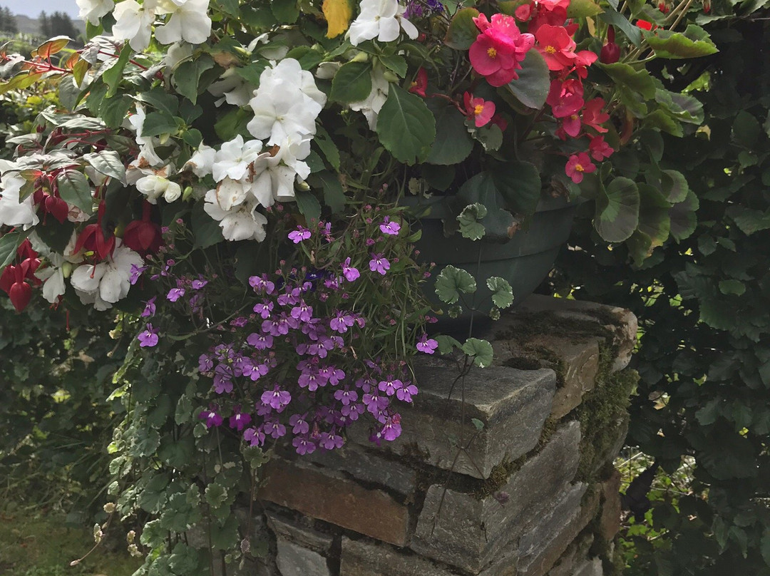 Avalon Guest House主图