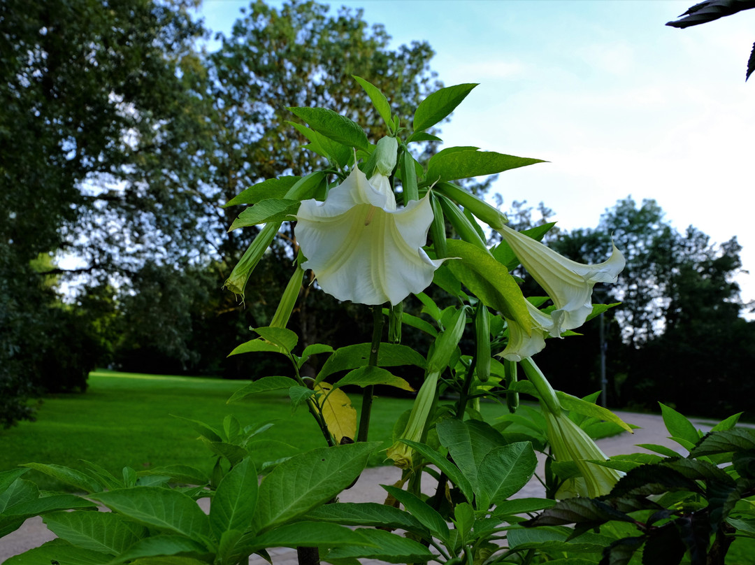 Kurpark-巴特贝文森必去景点