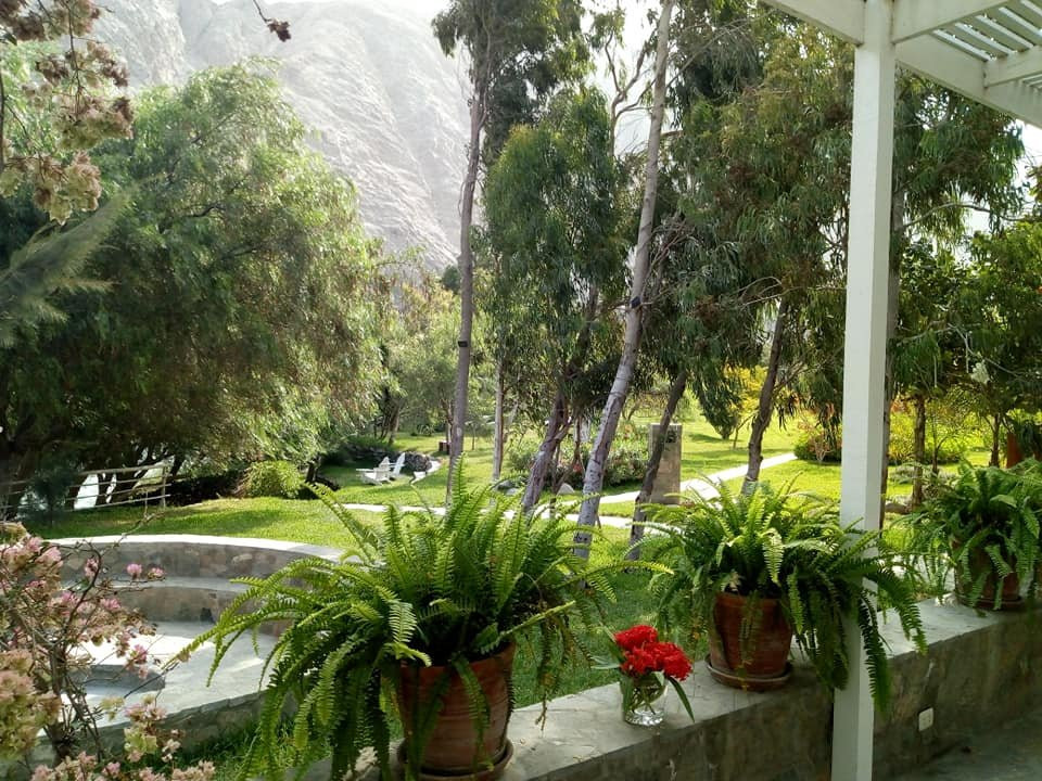 Hotel Los Palomos主图