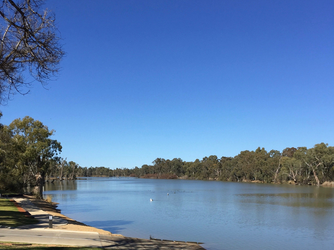 James King Park-Gol Gol必去景点