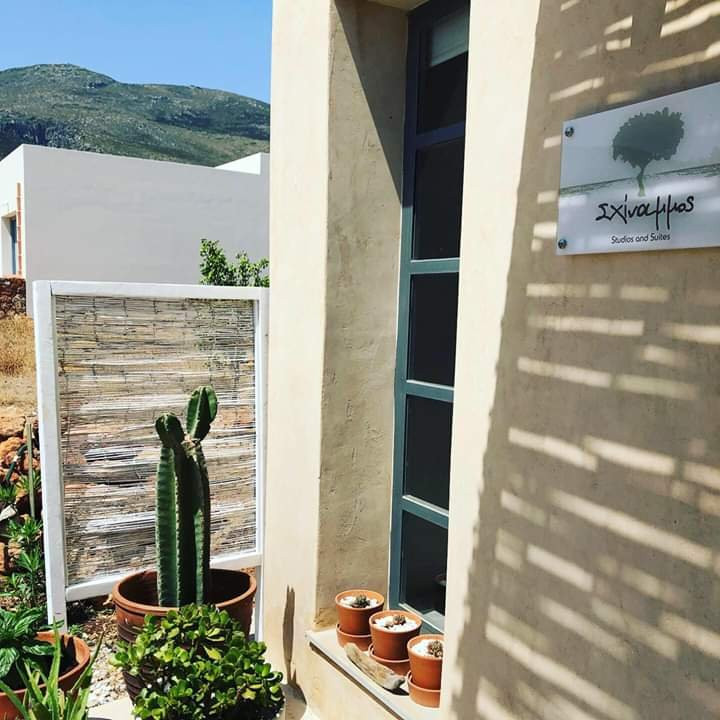 Skinammos Studios, Suites