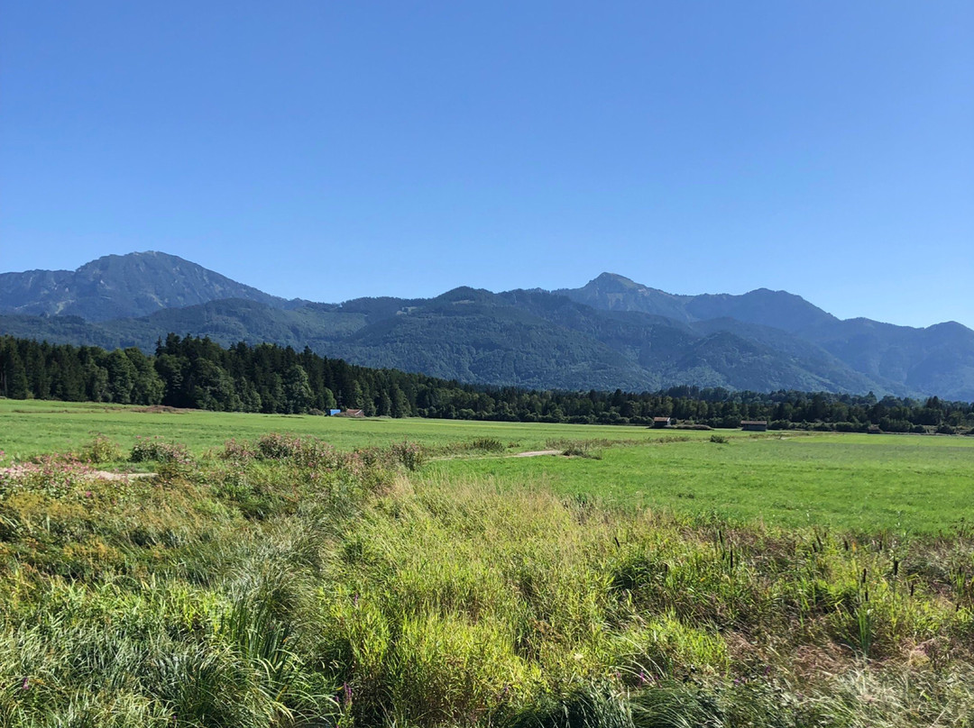 Hotel Restaurant Platzer主图