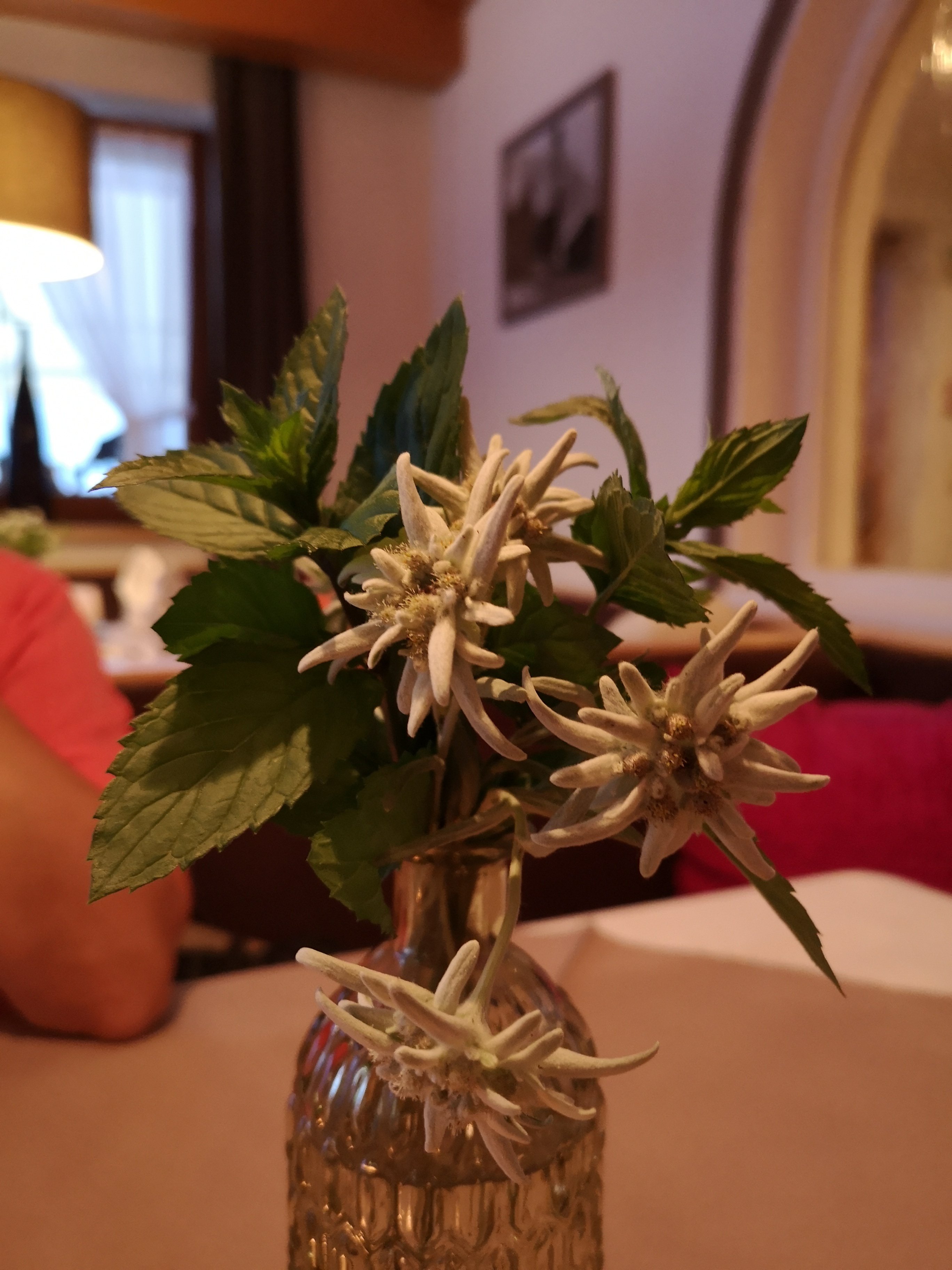 Hotel Fortuna-餐饮