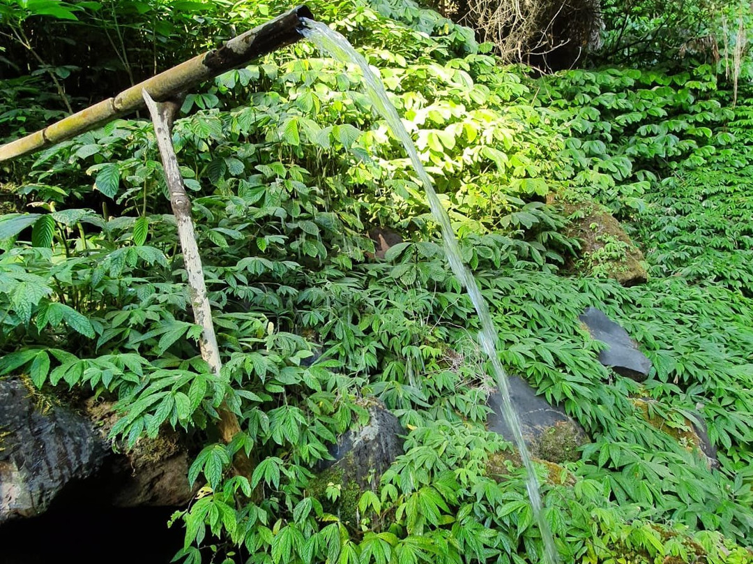 Blahmantung Waterfall-达巴南必去景点