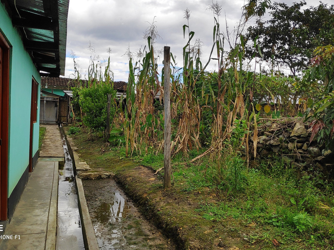 Hospedaje Pension Las Orquideas De Yumbilla主图