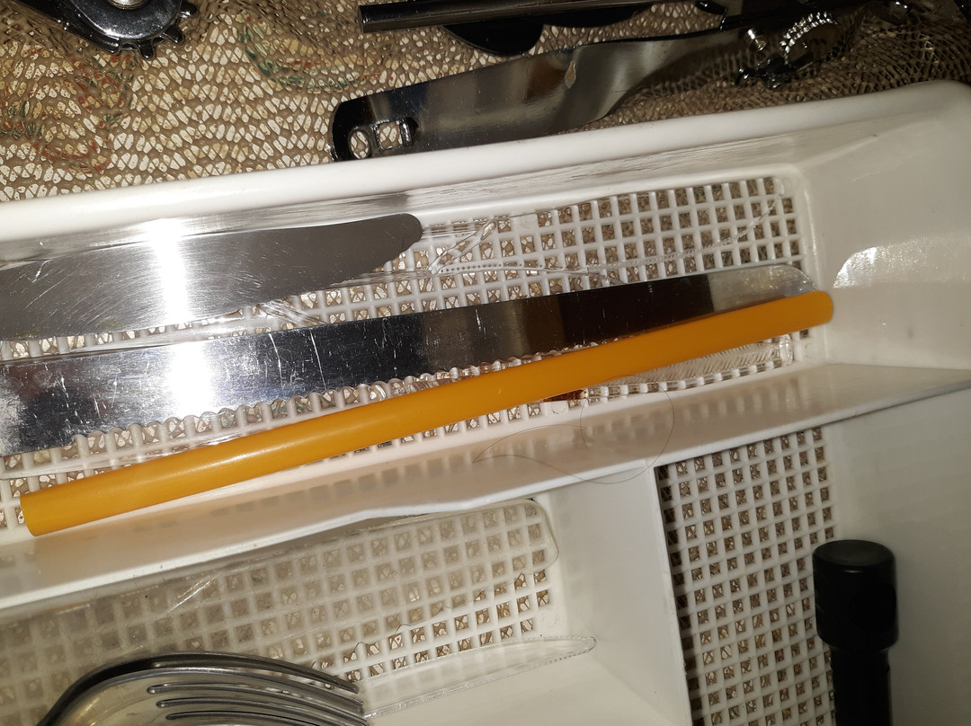 Cypress Tree Motel主图