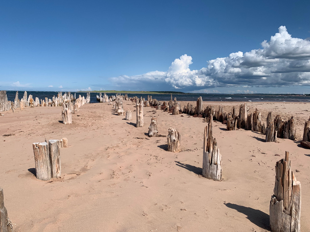 St. Peters Harbour Lighthouse-Saint Peters Harbour必去景点