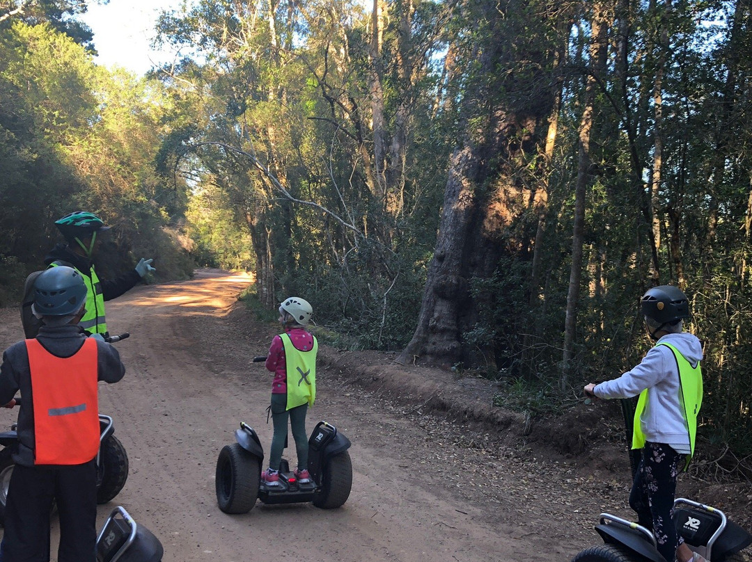Tsitsikamma Segway Tours-暴风河必去景点