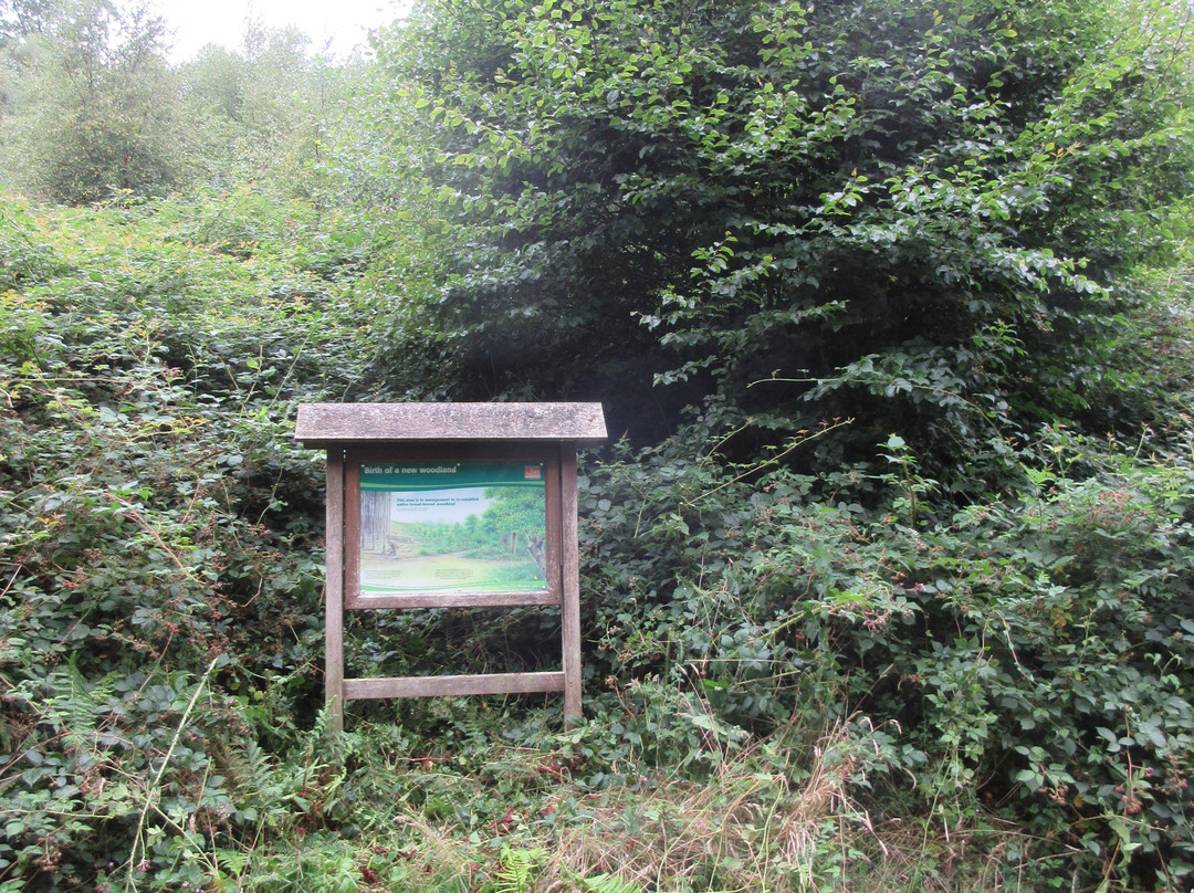 Holyford Woods Local Nature Reserve-Colyford必去景点