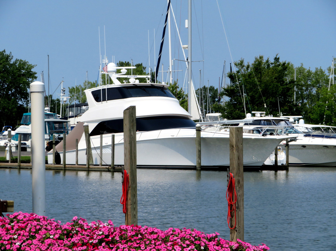 The Sand Bar - Toledo Beach Marina-La Salle必去景点