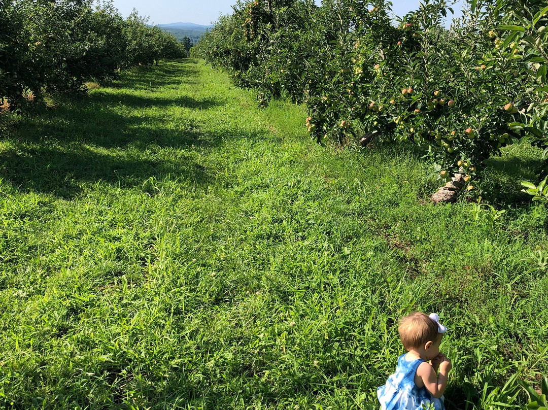 Carter Hill Orchard景点图片