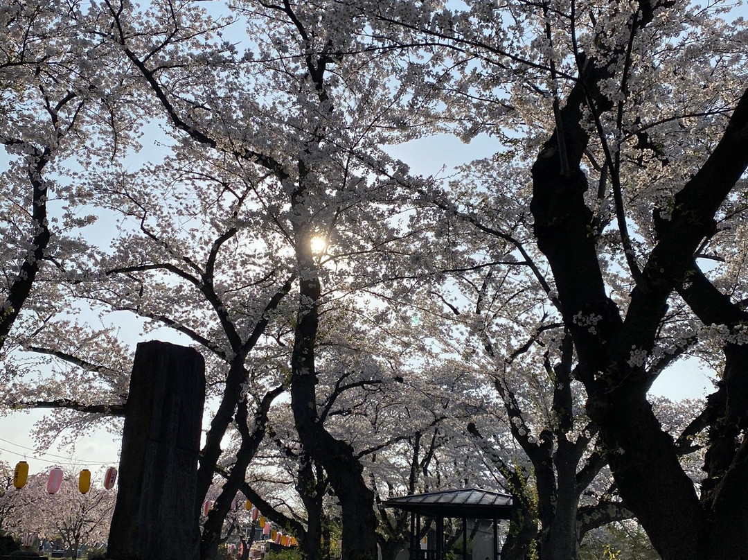 Keijo Park-大馆市必去景点