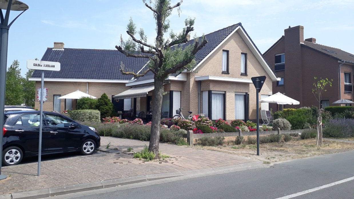 B&B Bloemenhuis-官方
