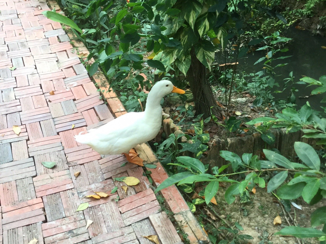 Mekong Chill Homestay主图