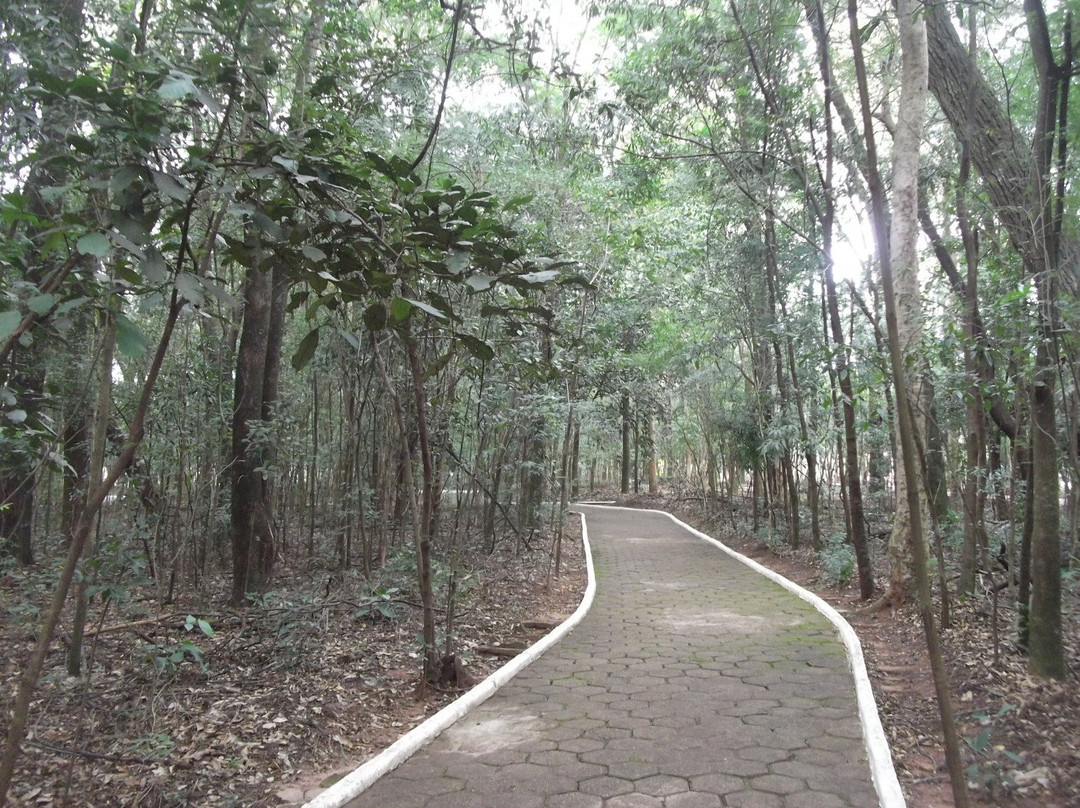 Bosque Uirapuru景点图片