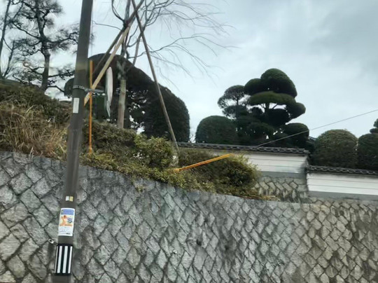 Genko-ji Temple-周南市必去景点