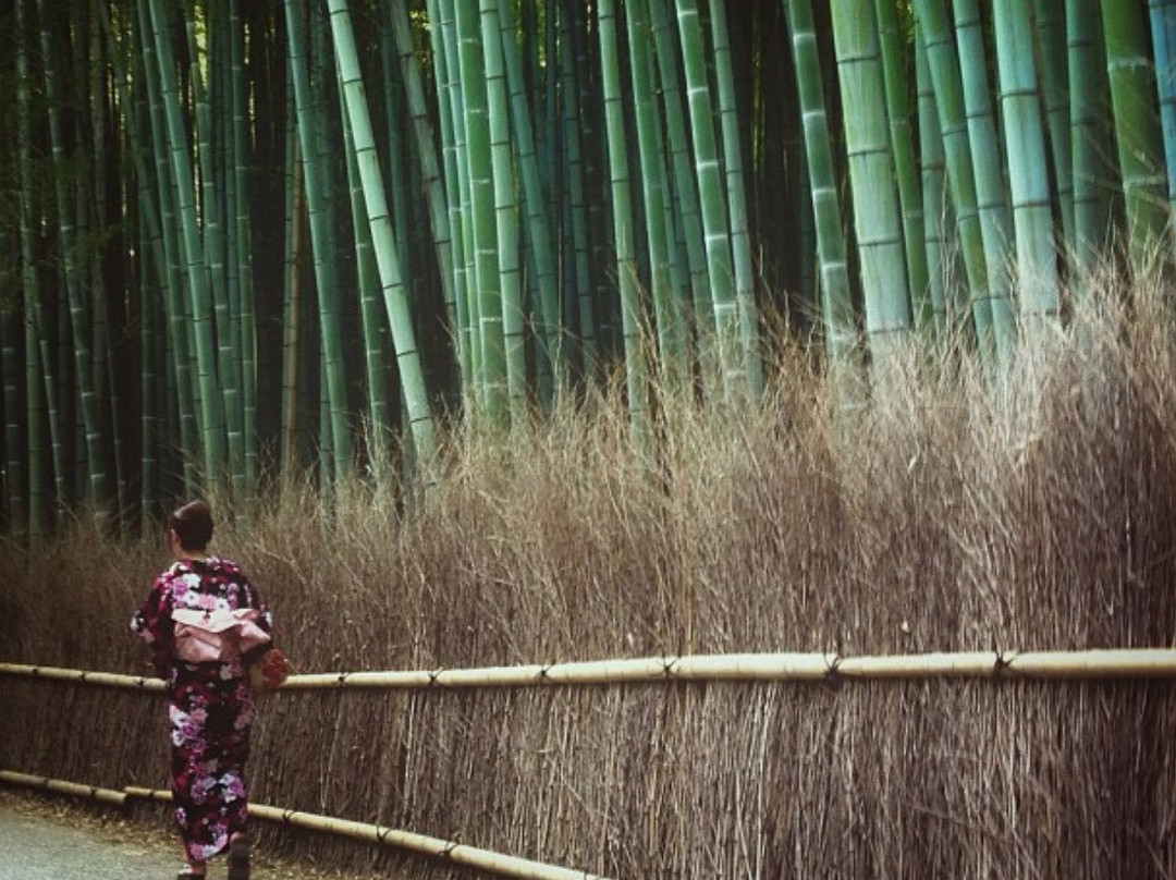 Kyoto Sagano Walk & Bamboo Forest景点图片