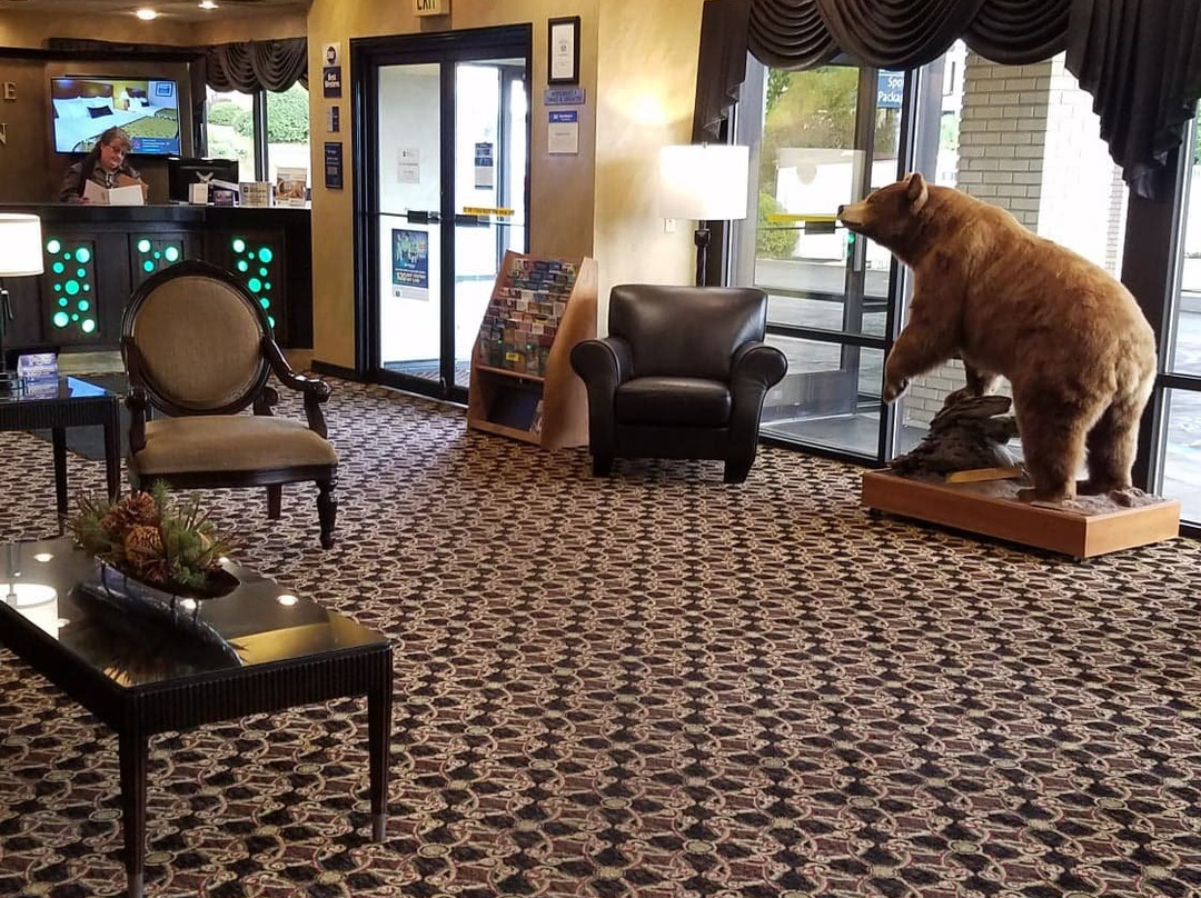 Best Western Dunmar Inn主图