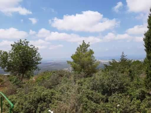 Travel Hotel Eilon主图