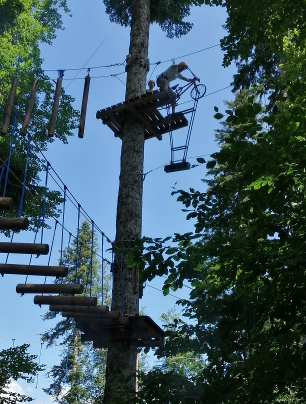 Rope Adventure Park-Esto-Sadok必去景点