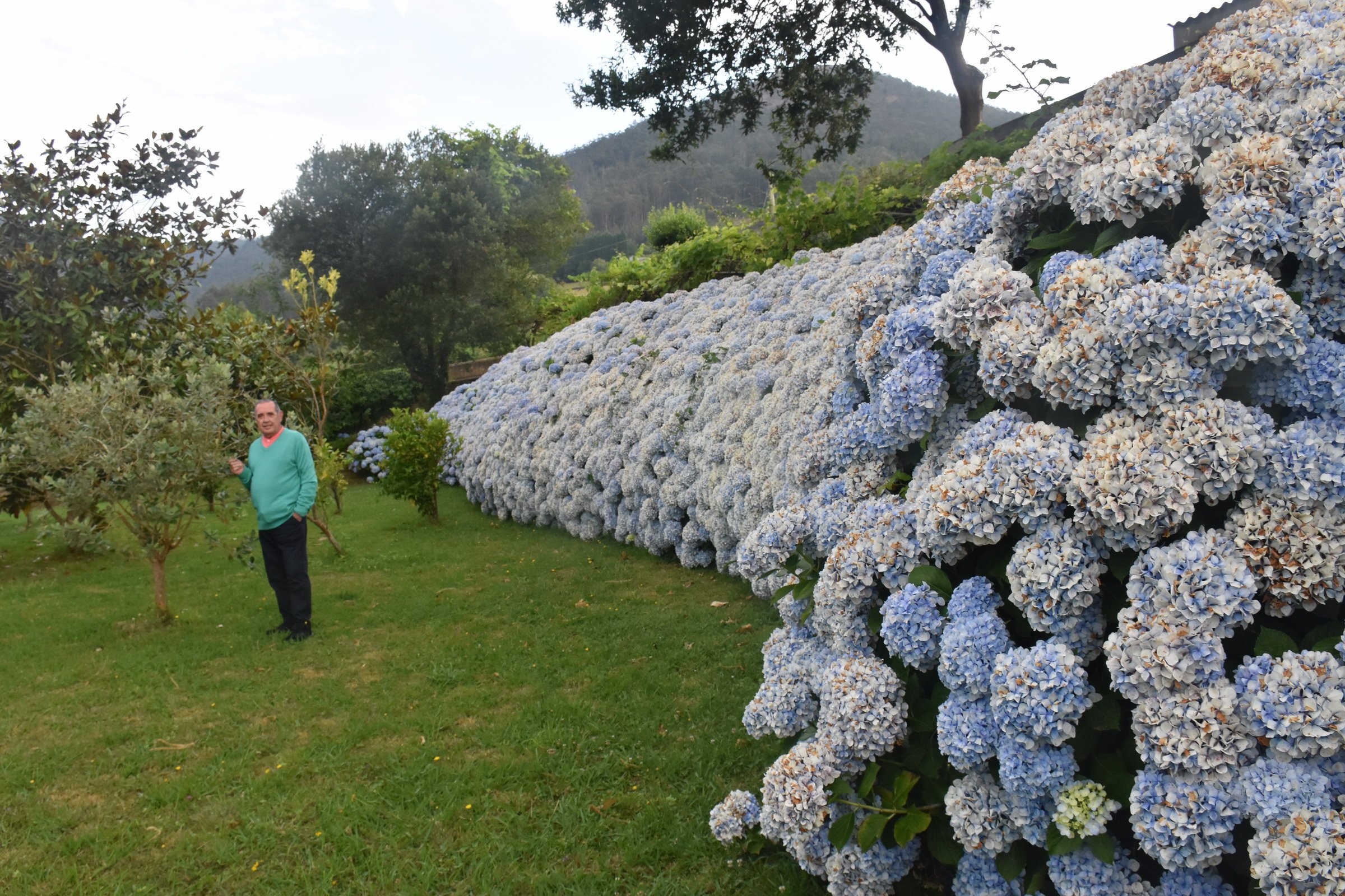 Areal-家庭/游戏区