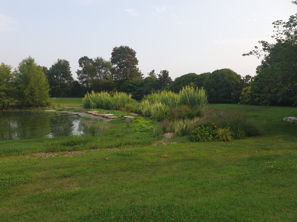 Agriturismo La Risarona主图