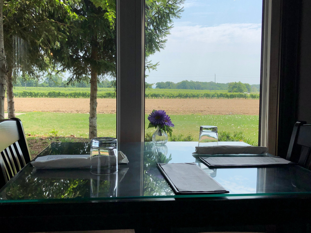 Ridgepoint Wines-威兰德必去景点