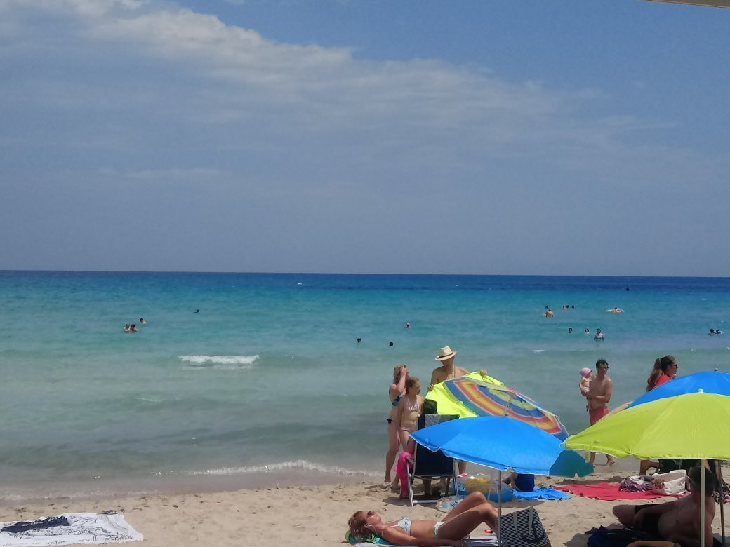 Playa de Ca'n Picafort景点图片