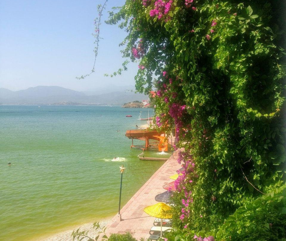 Club & Hotel Letoonia主图