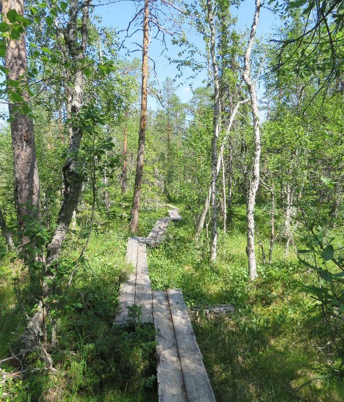 Hamra National Park-Ljusdal必去景点