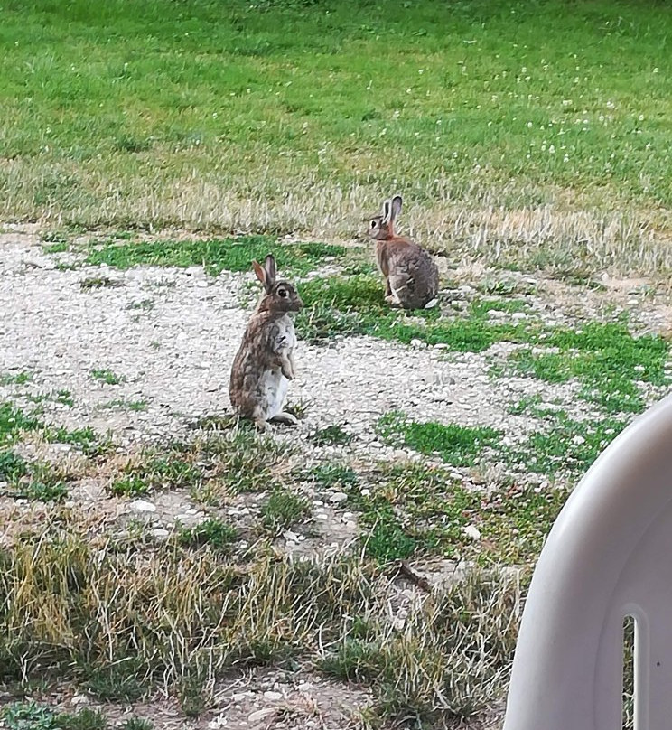 Montbarrey旅游攻略图片