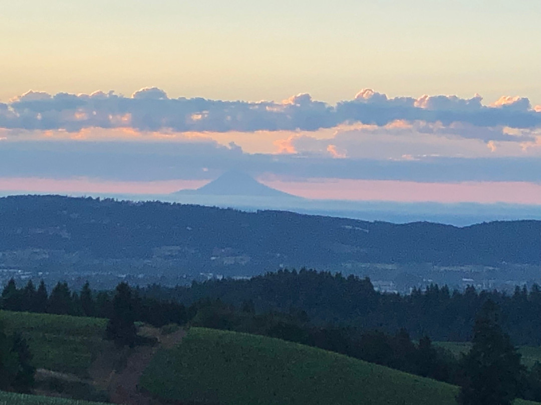 Black Walnut Inn & Vineyard主图