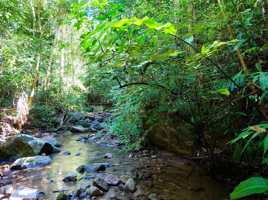 Chiang Mai Eco Trekking景点图片