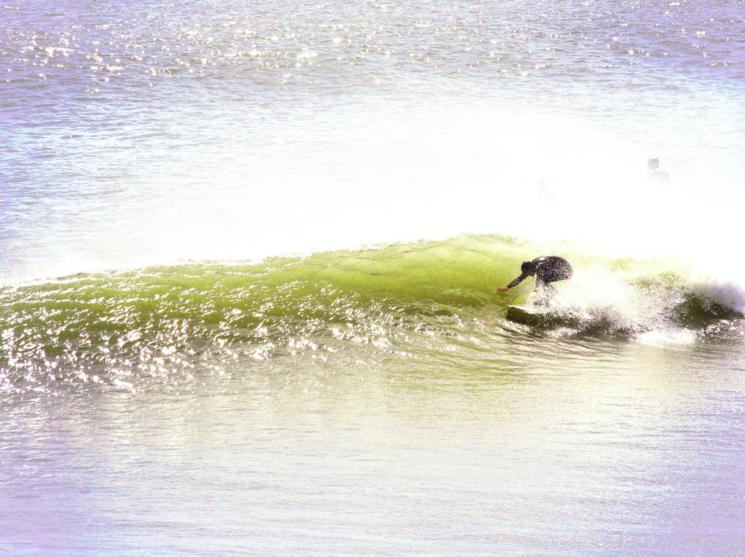 Skookum Surf景点图片