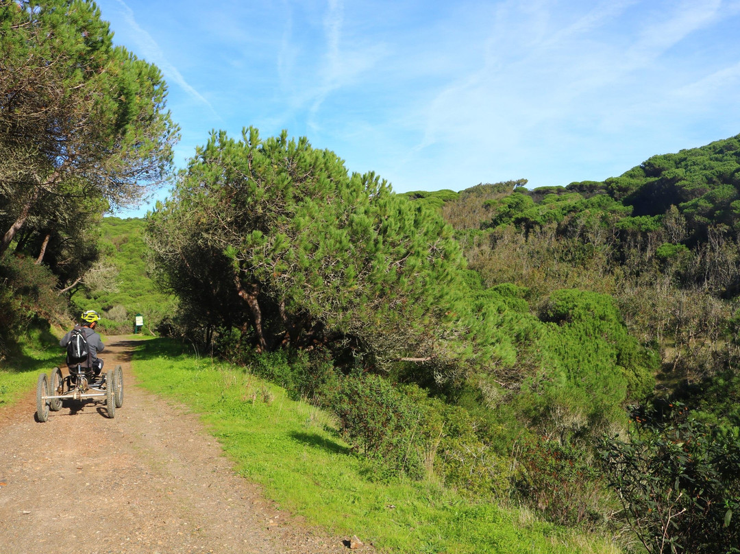 Wheels4Fun - QuadBike Tours-萨格里什必去景点