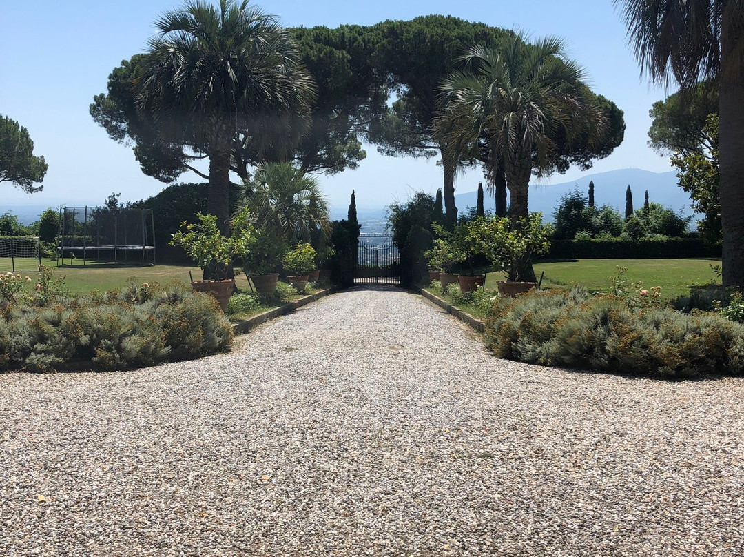 Tenuta di Valgiano景点图片