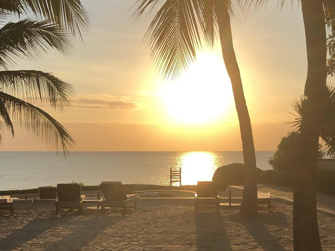 Zanzibar Tours and Transfers景点图片