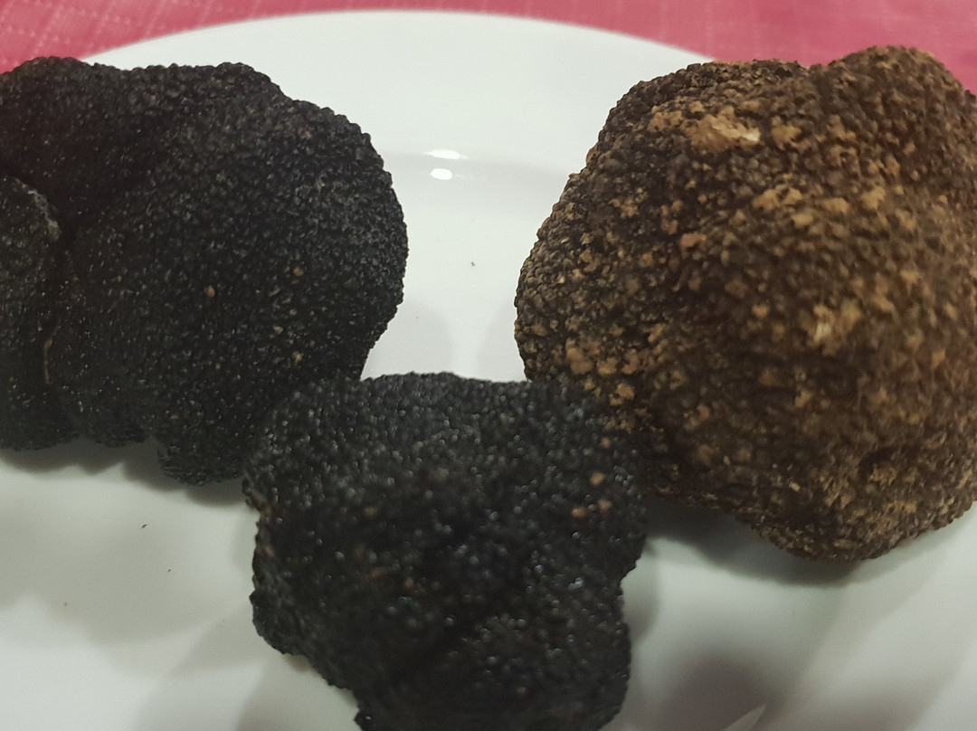 Hospedaje rural Casa Parri主图