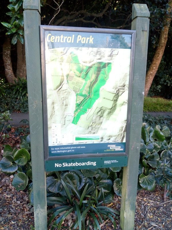 Central Park-惠灵顿必去景点