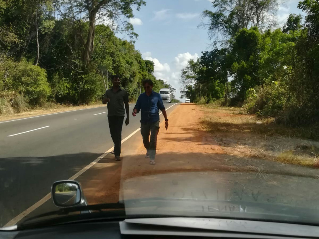 Nilaveli Cabs-尼拉瓦利必去景点