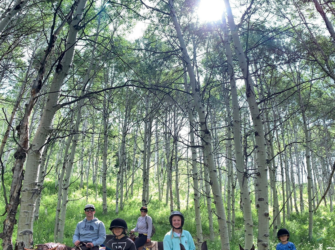 North Forty Escapes-Oakley必去景点