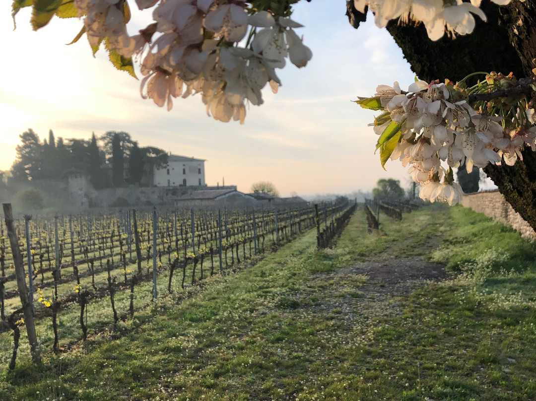 Paderno Franciacorta旅游攻略图片