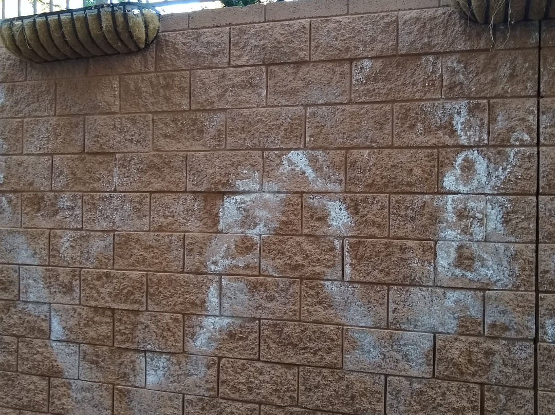 格兰德峡谷格兰德酒店主图