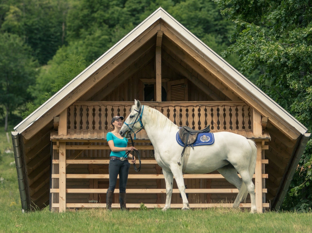 Zima Horse Riding Ranch Bled景点图片