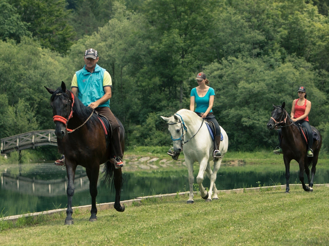 Zima Horse Riding Ranch Bled景点图片