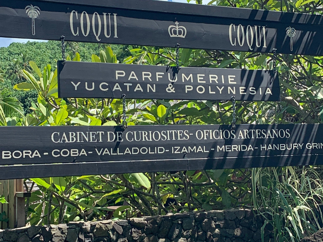 Coqui Coqui Perfumeria景点图片