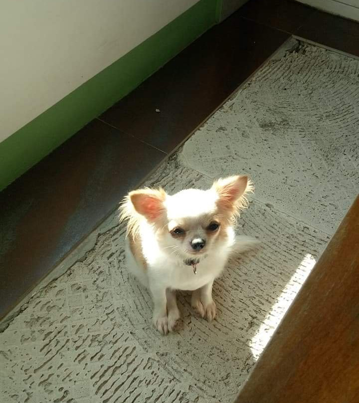 Aurora 2013 Guest House主图